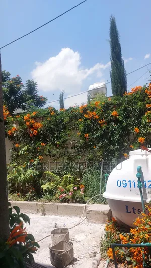 4bdrm House in Oromia, East Shewa for rent