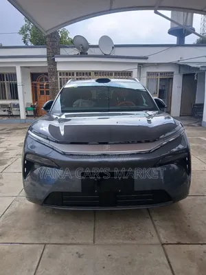 New BYD Tang DM-i 2025