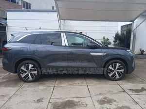 New BYD Tang DM-i 2025