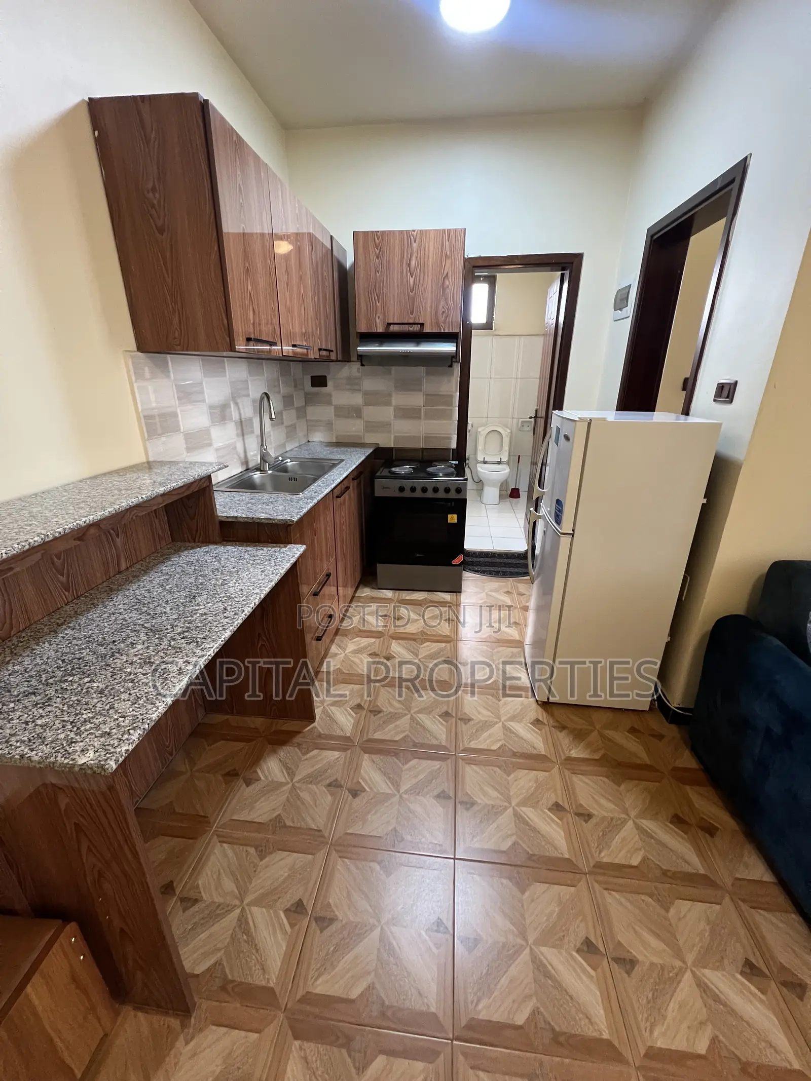 Furnished 1bdrm Apartment in Bole for rent