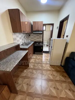 Furnished 1bdrm Apartment in Bole for rent