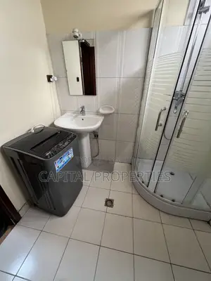 Furnished 1bdrm Apartment in Bole for rent