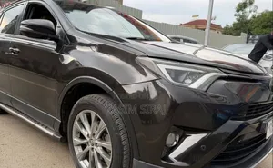 Toyota RAV4 2018 Gray