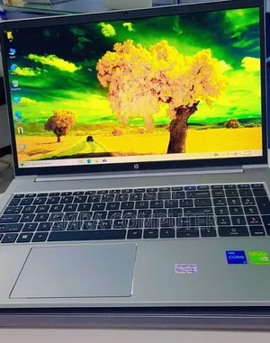 New Laptop HP ProBook 450 G8 16GB Intel Core i5 SSD 512GB