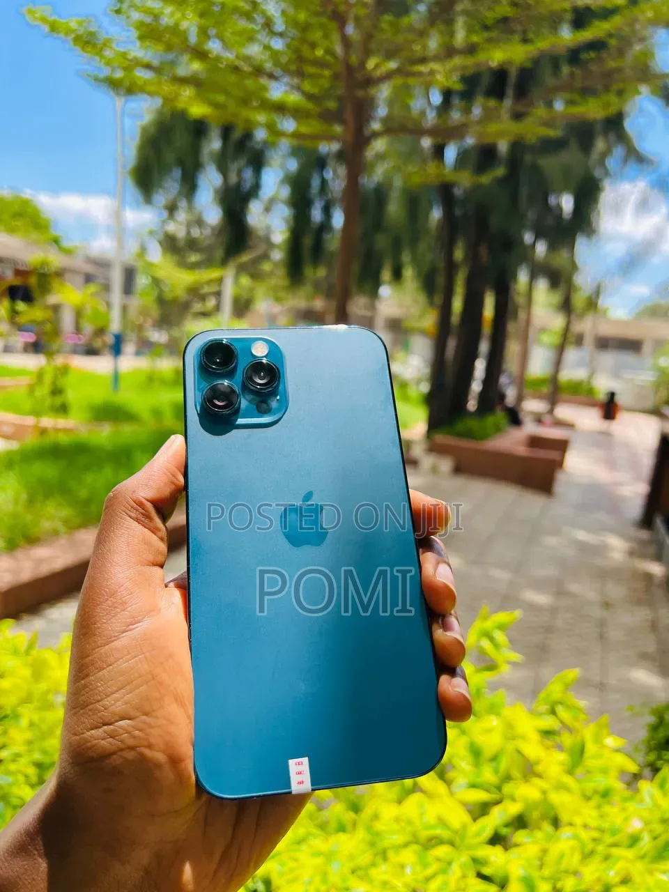 Apple iPhone 12 Pro Max 256 GB Blue