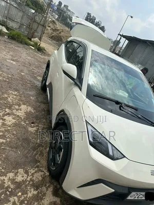 BYD Seagull 2024 Gray