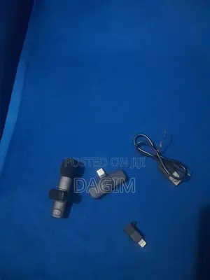 Wireless Microphone