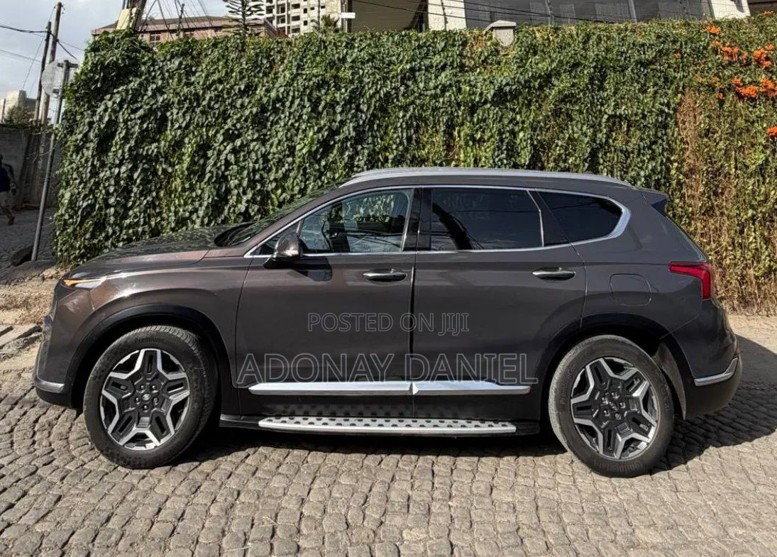 Hyundai Santa Fe 2024 Gray
