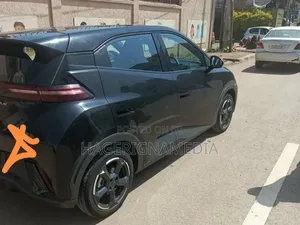 BYD Seagull 2024 Black
