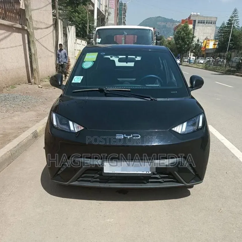 BYD Seagull 2024 Black