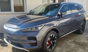 BYD Tang EV 2024