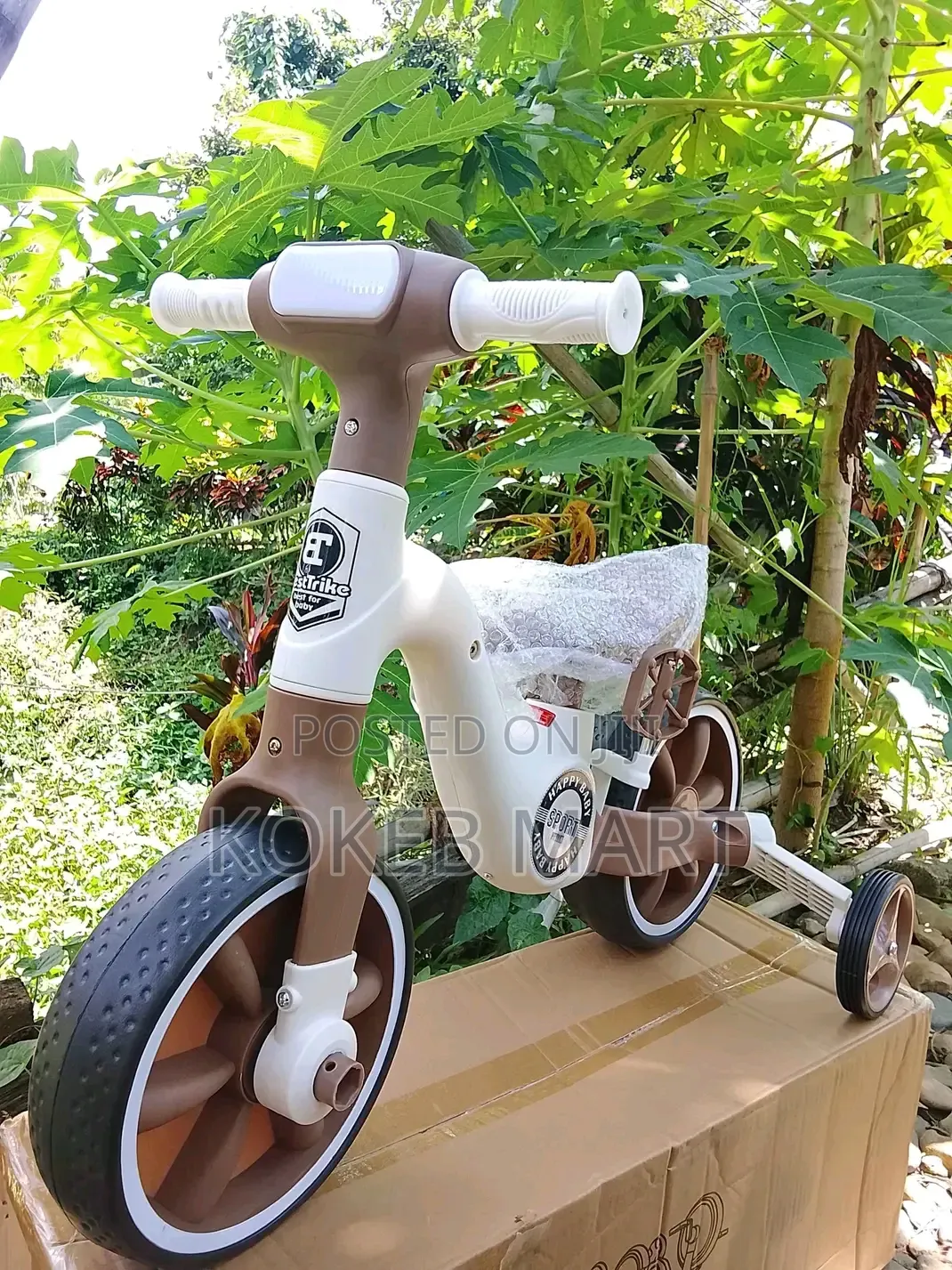 Adjustable Seat and Removable Pedals