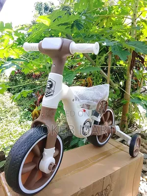 Adjustable Seat and Removable Pedals