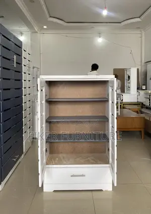 Shoe Organizer