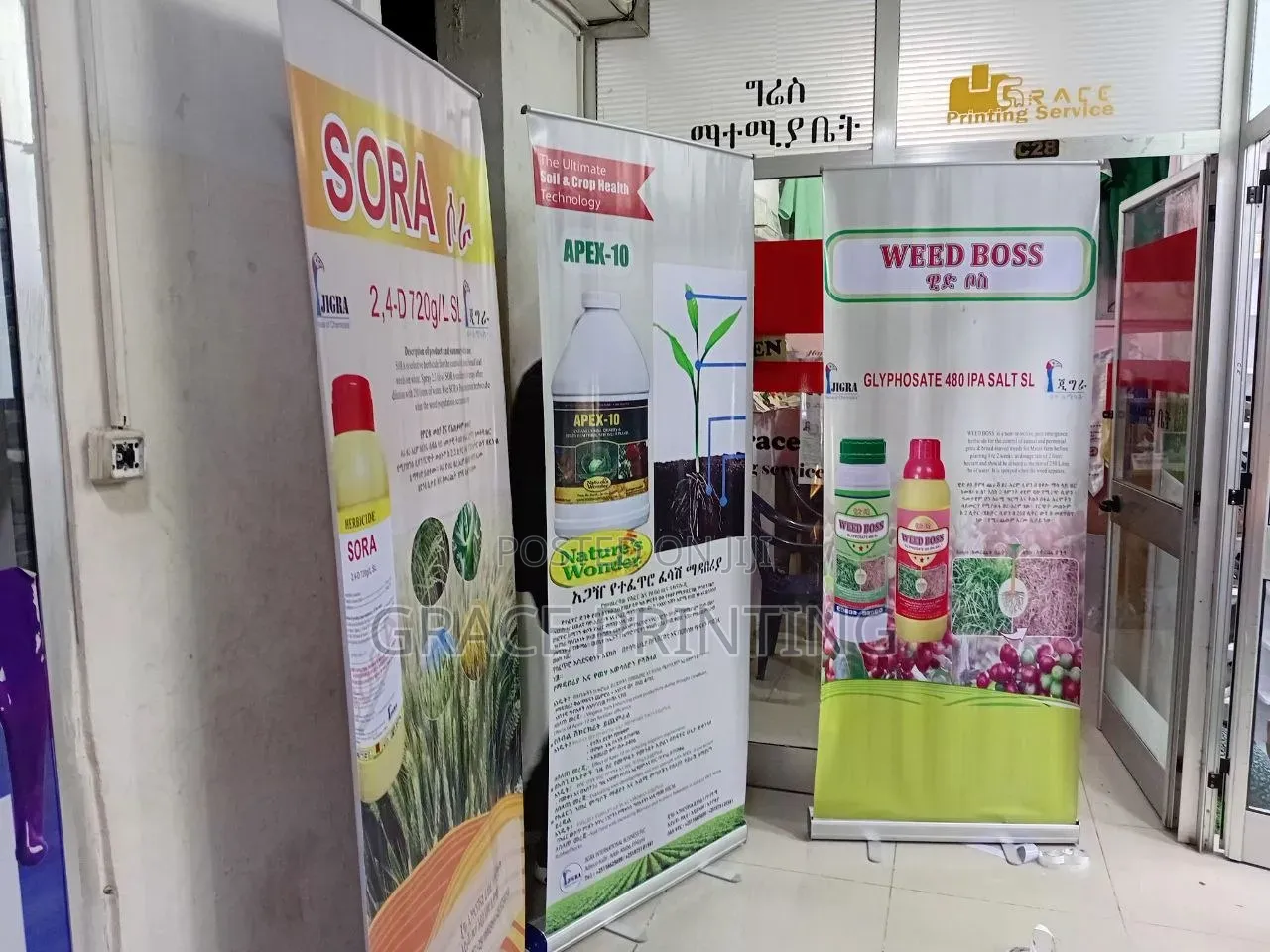 Roll Up Print