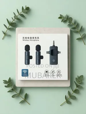 Portable Plug and Play Wireless Microphone Set