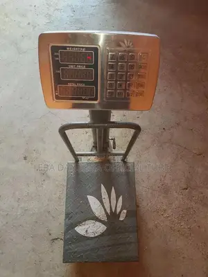 Electric Mizan 150 Kg