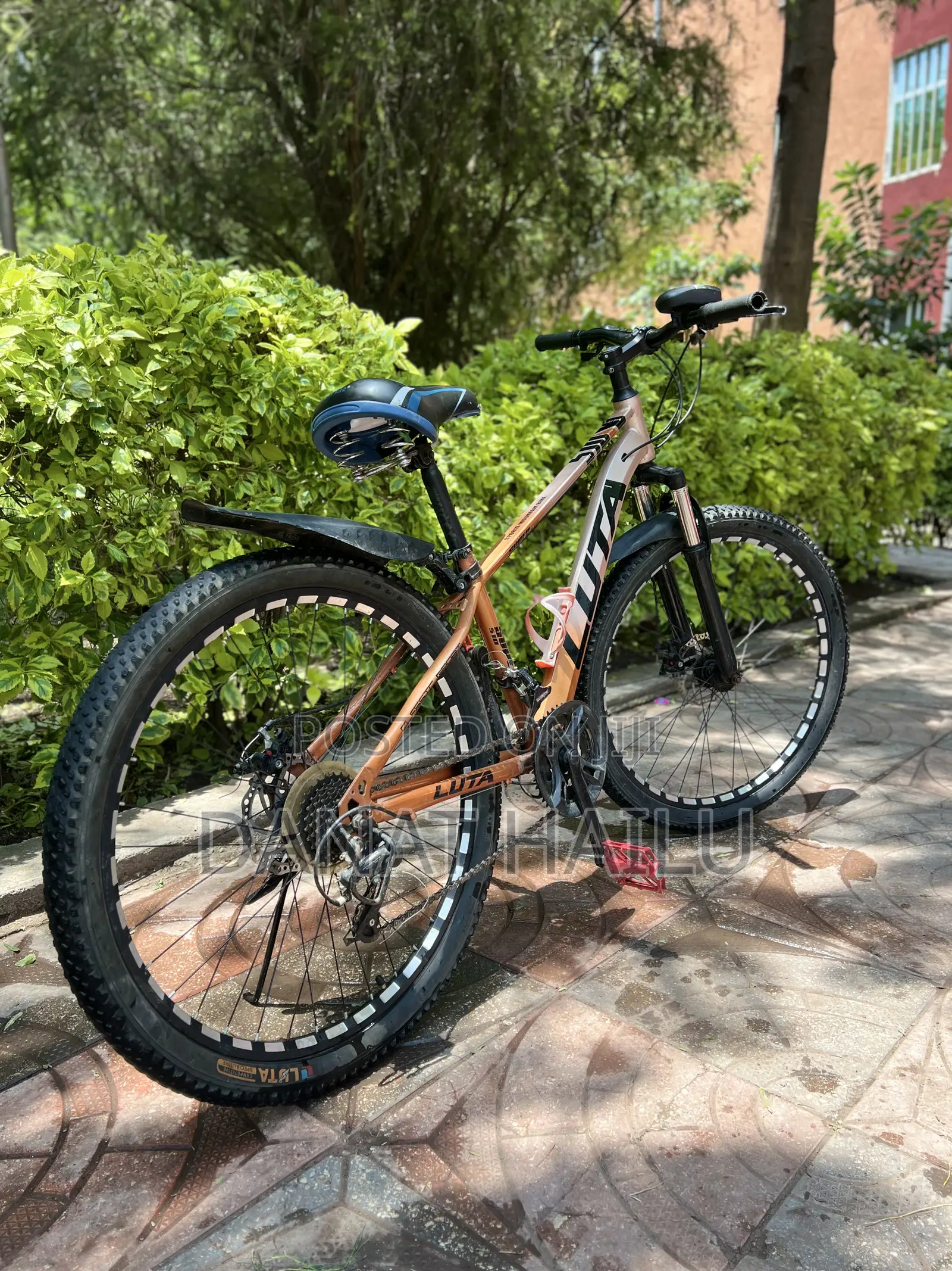 Luta Bike Bicycle