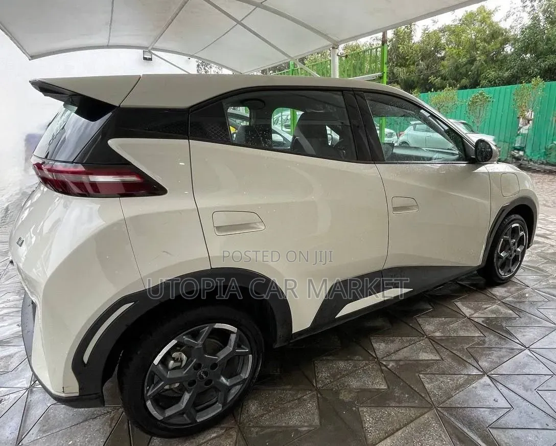 BYD Seagull 2024 White