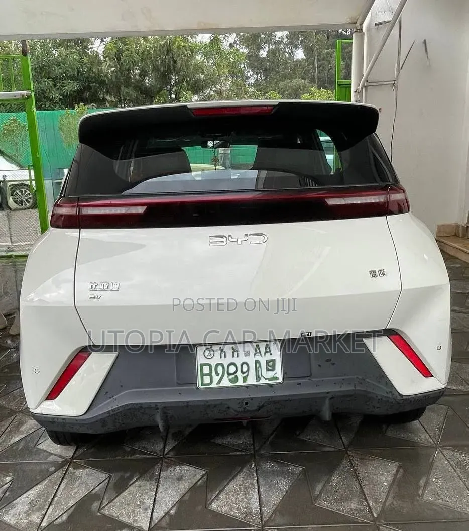 BYD Seagull 2024 White