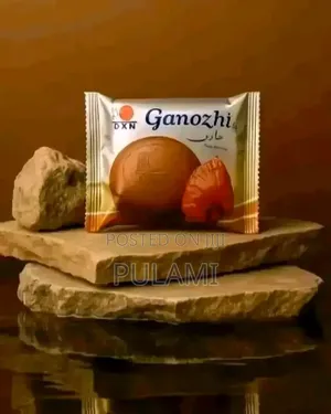 DXN Ganozhi Soap