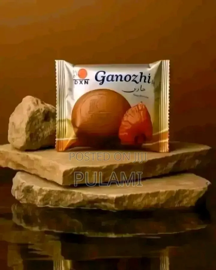 DXN Ganozhi Soap