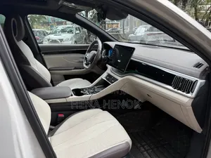BYD Song Plus 2025 Beige