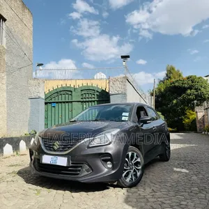 Suzuki Baleno 2022 Gray