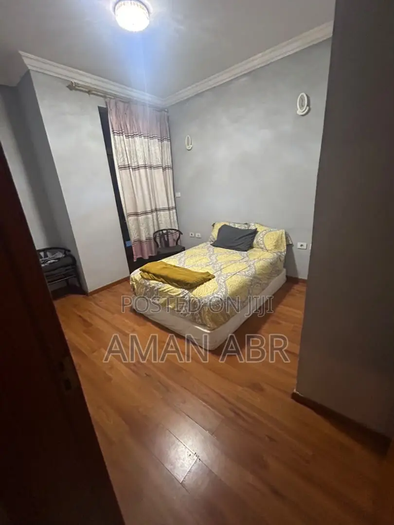 Furnished 2bdrm Apartment in Matts Real Estate, Bole for rent