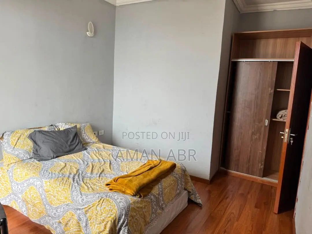 Furnished 2bdrm Apartment in Matts Real Estate, Bole for rent