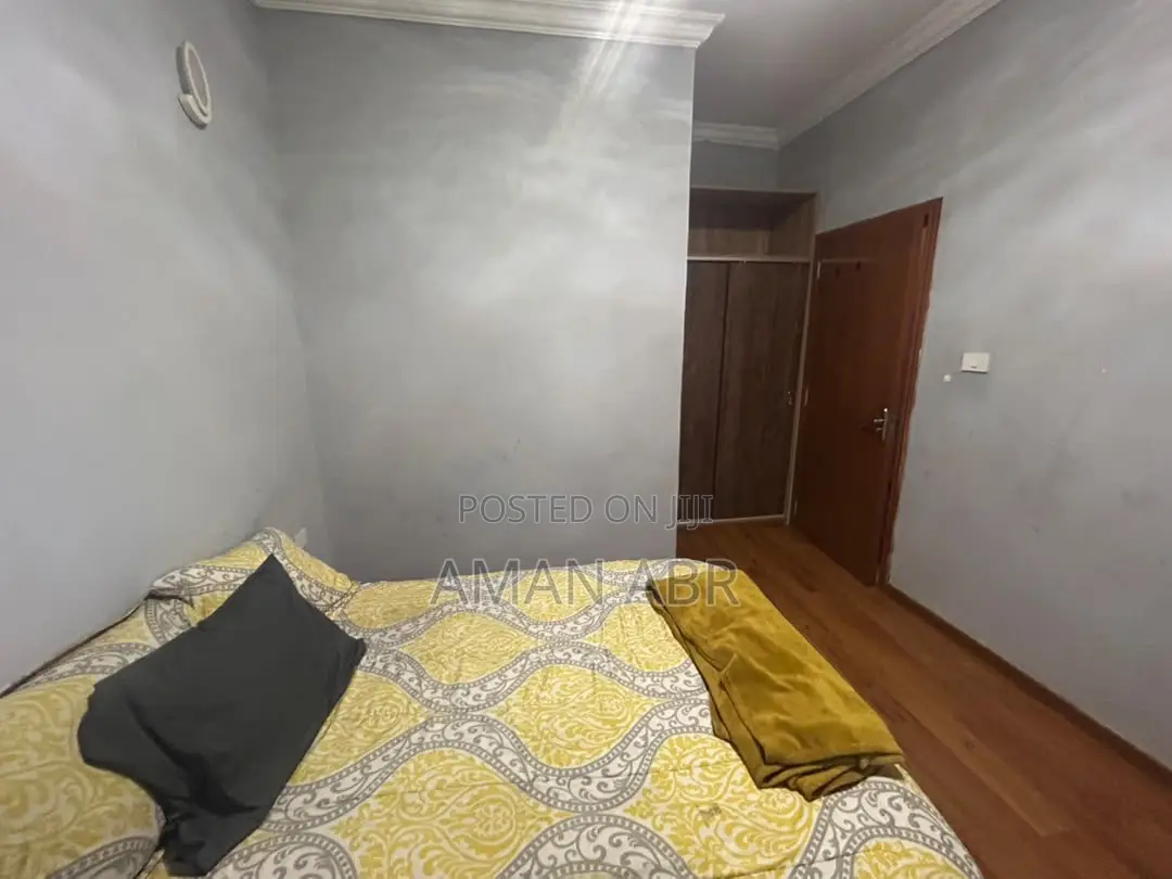 Furnished 2bdrm Apartment in Matts Real Estate, Bole for rent