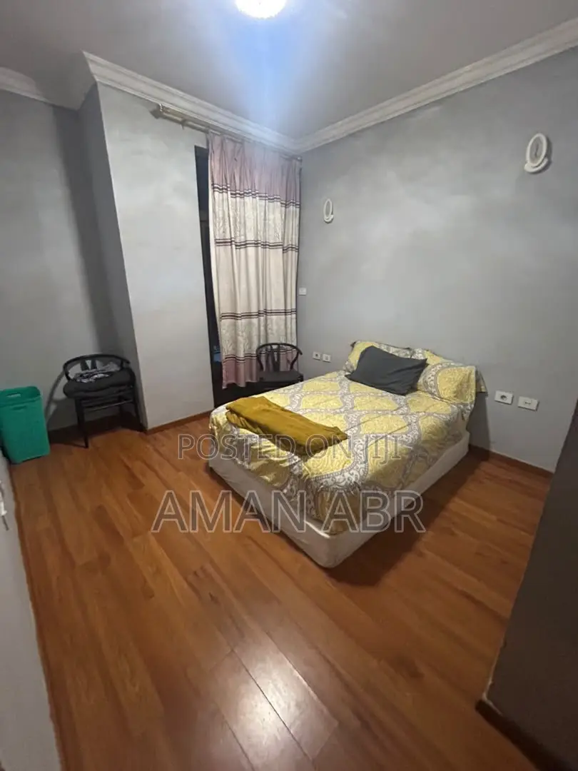 Furnished 2bdrm Apartment in Matts Real Estate, Bole for rent