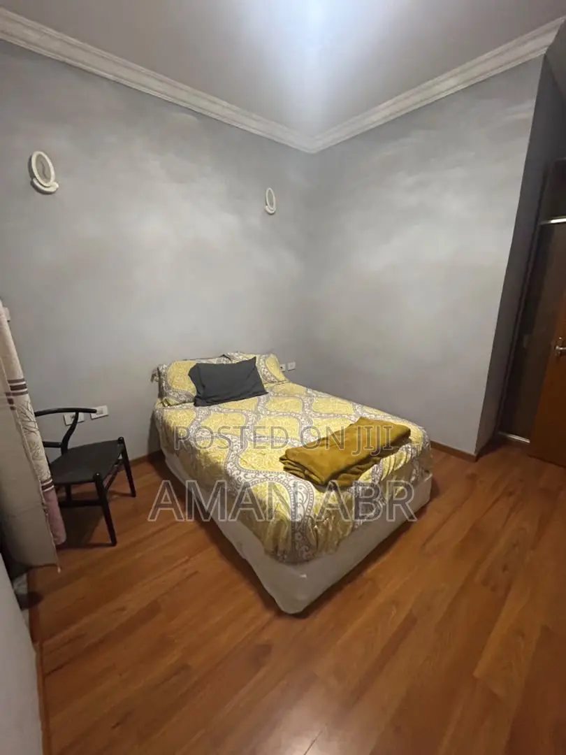 Furnished 2bdrm Apartment in Matts Real Estate, Bole for rent