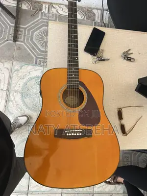 Acoustic Guitar F340