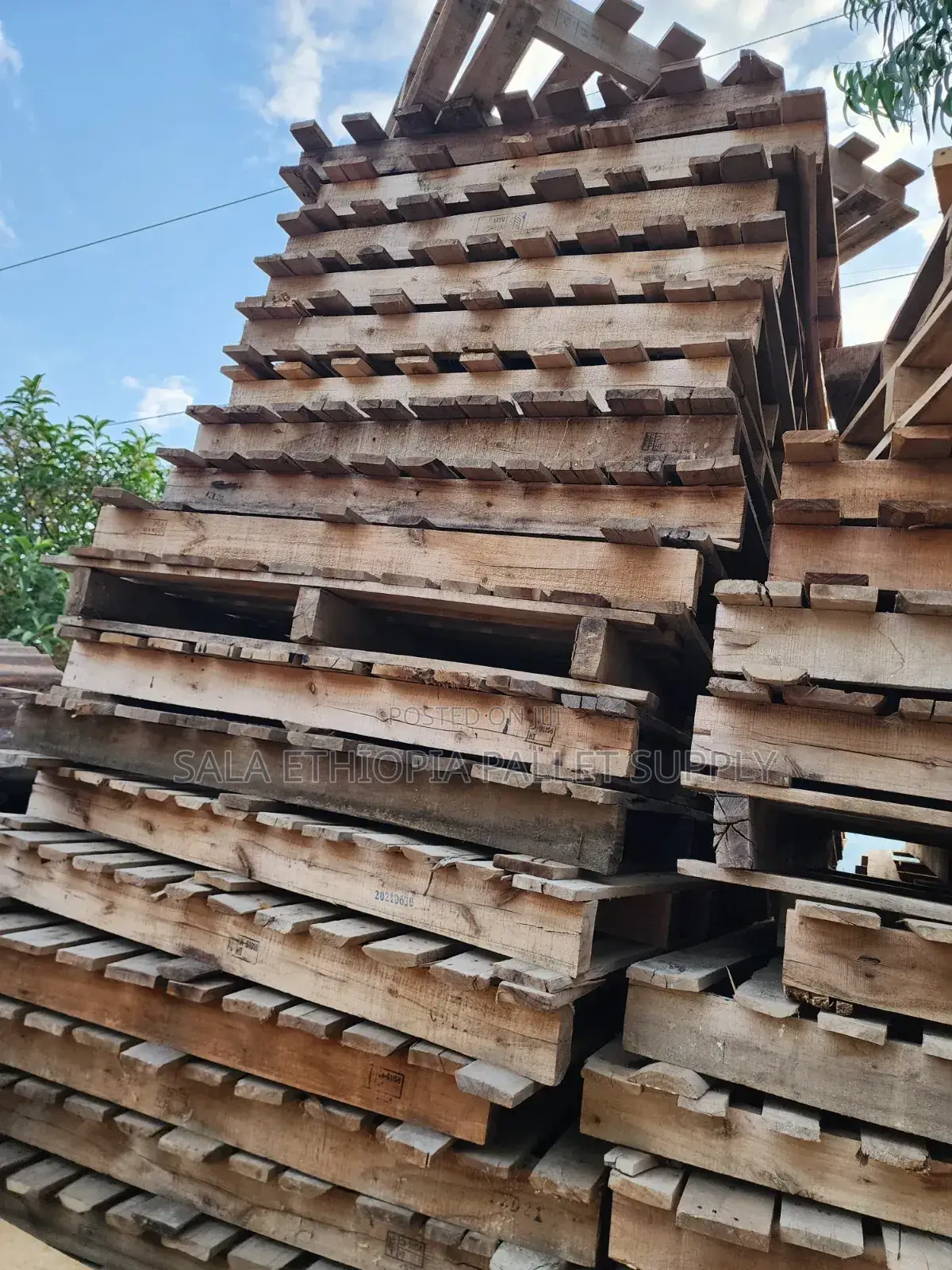 Good Wood for New Stok and Water Purpuse