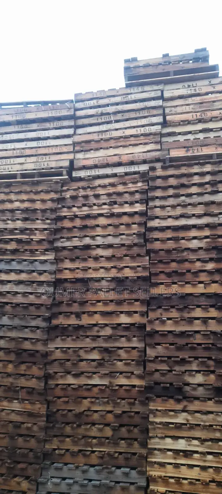 Good Wood for New Stok and Water Purpuse