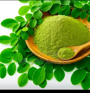 የሞሪንጋ ቅጠልና ዱቀት