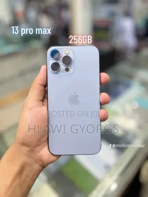 Apple iPhone 13 Pro Max 256 GB Gray