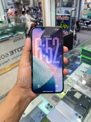 Apple iPhone 13 Pro Max 256 GB Gray