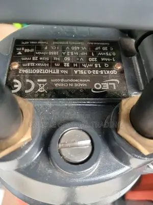 Leo Submersible Pump