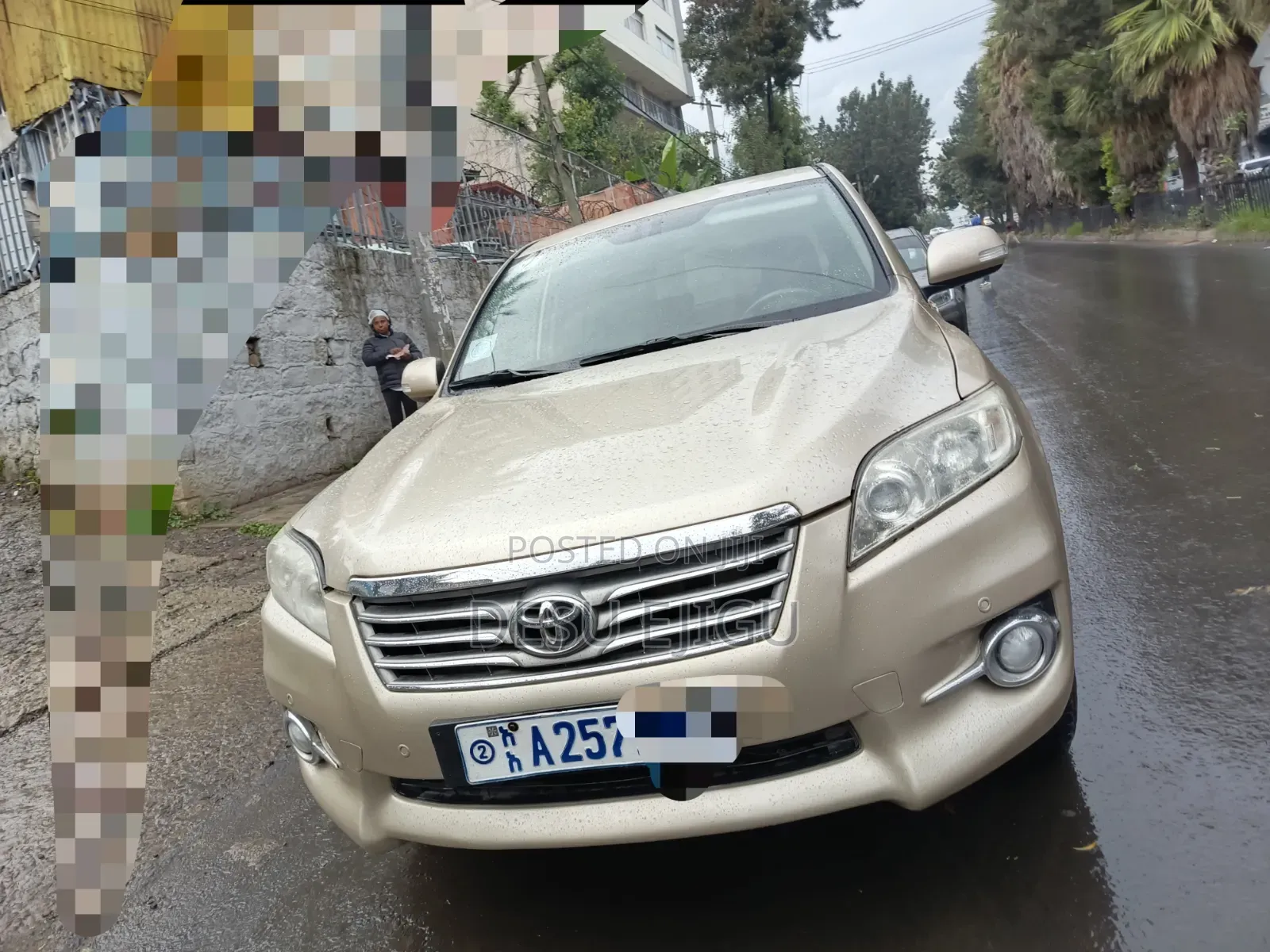 Toyota RAV4 2010 Gold