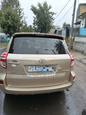 Toyota RAV4 2010 Gold