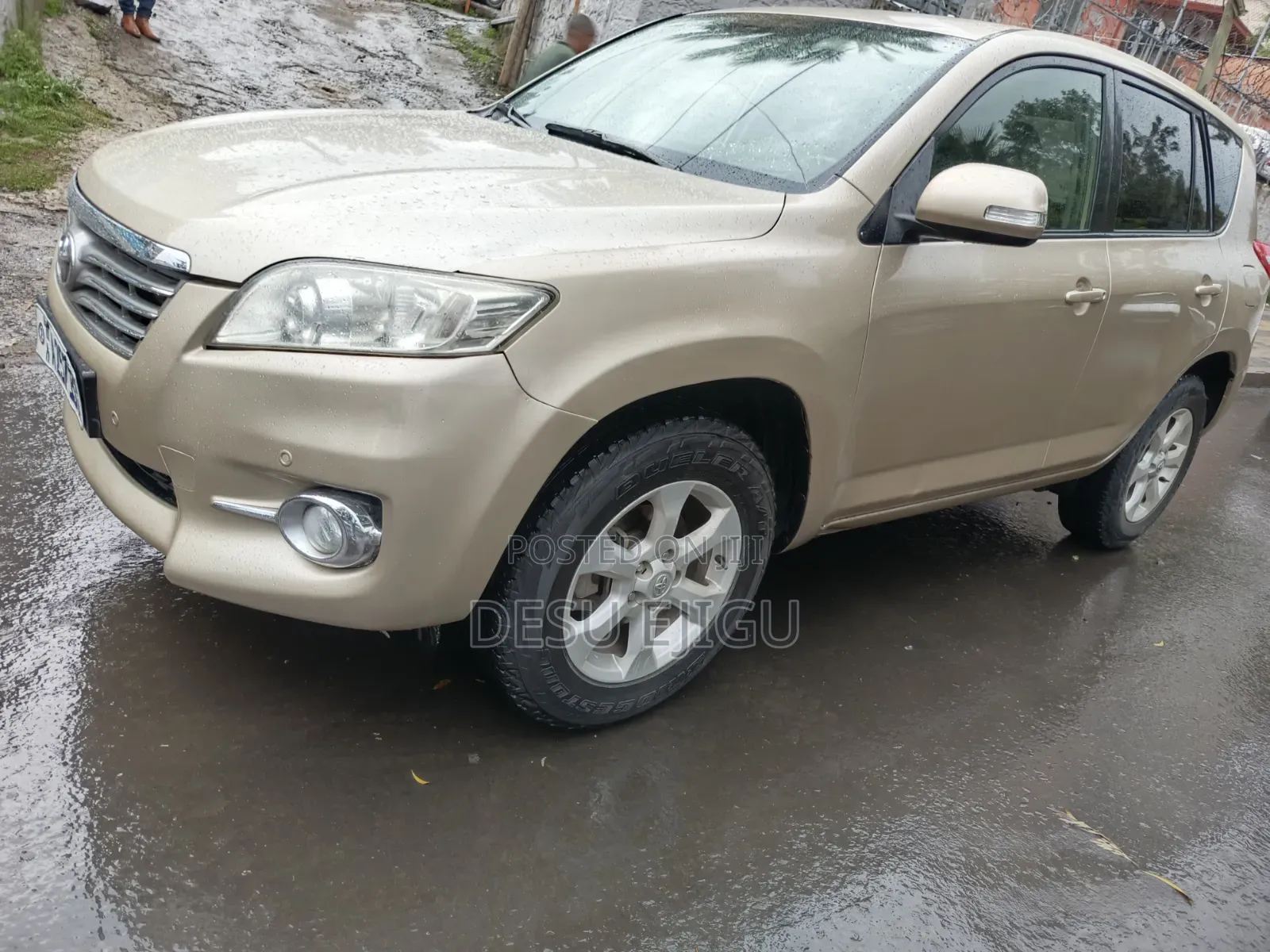 Toyota RAV4 2010 Gold
