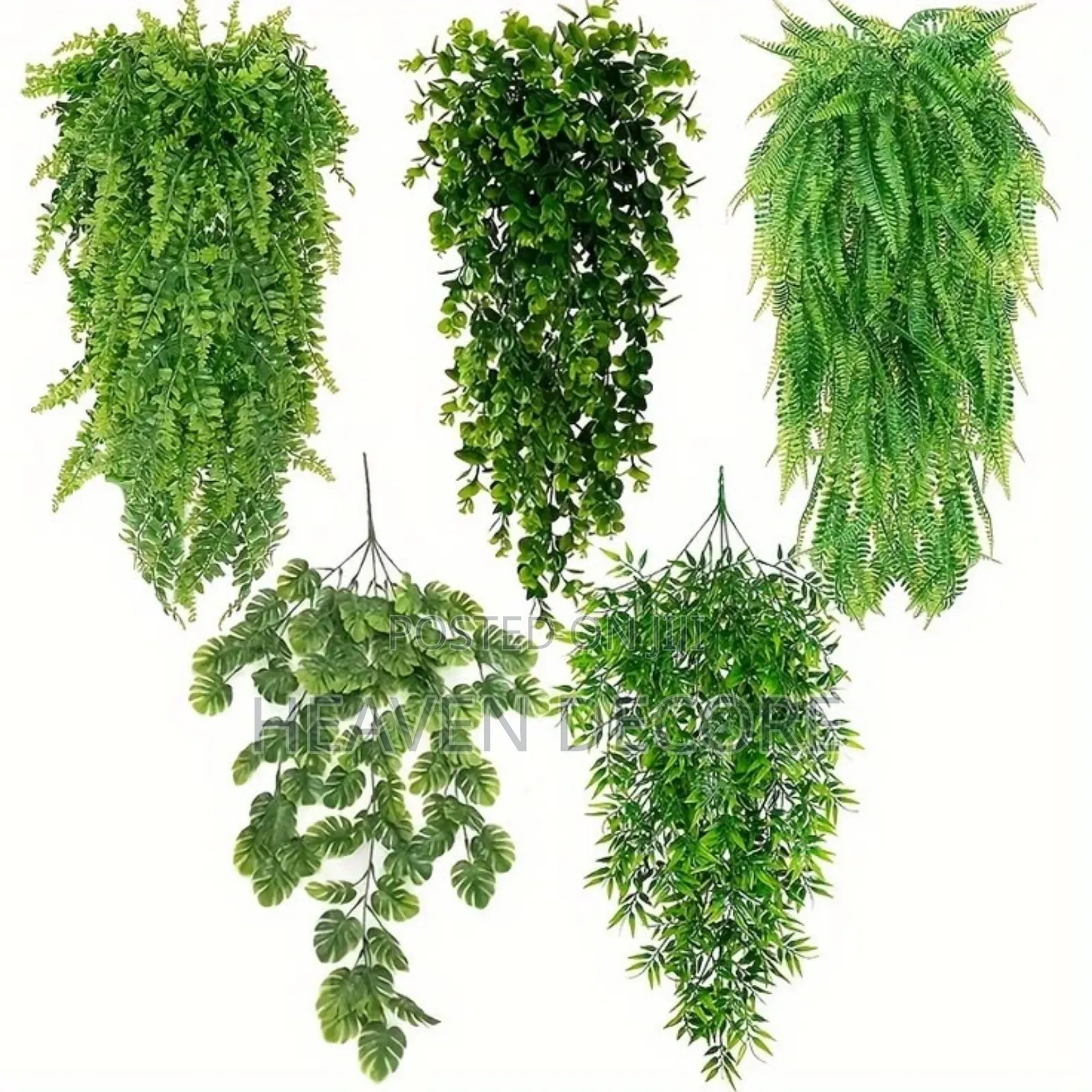 Hanging Tulling (ተንጠልጣይ ሀረግ)