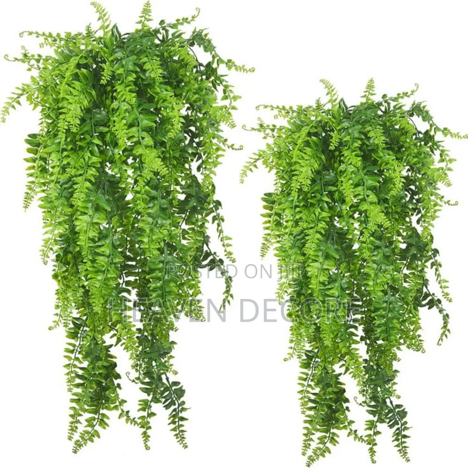 Hanging Tulling (ተንጠልጣይ ሀረግ)