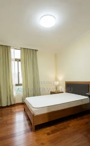 Furnished 3bdrm Apartment in Bole Atlas for sale