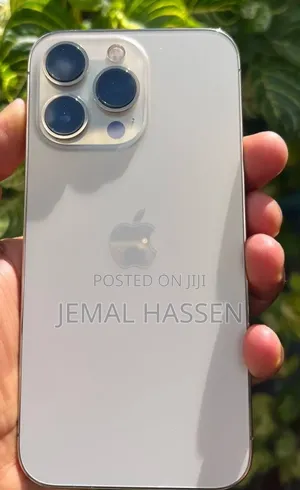 Apple iPhone 12 Pro Max 256 GB White
