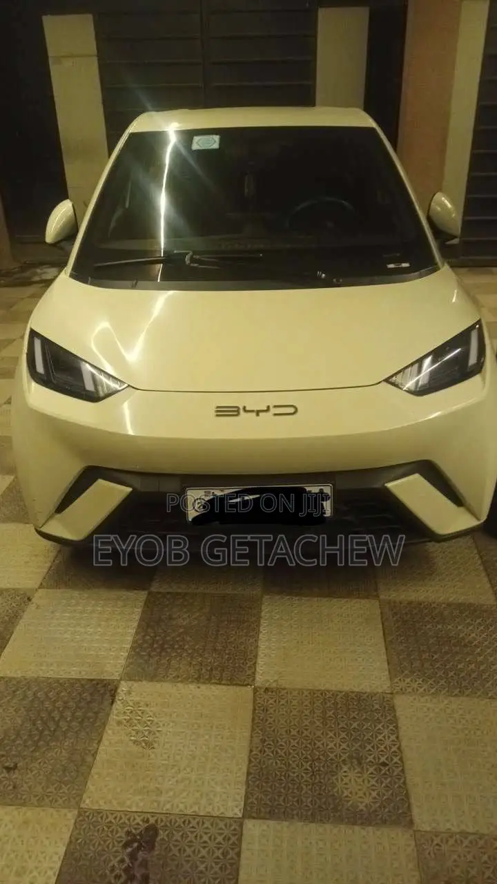 BYD Seagull 2024 White