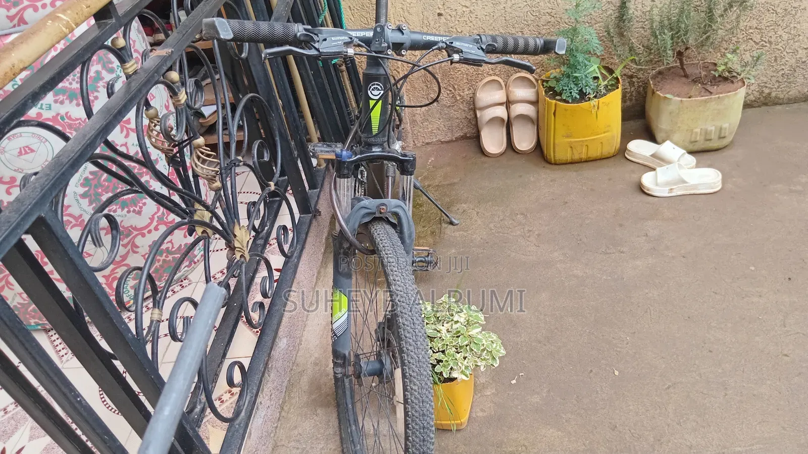 The Bicycle