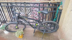 The Bicycle